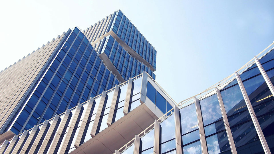 Company profile